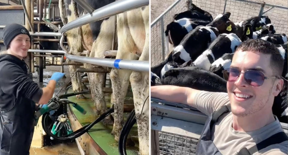 Left: Gabby milking cows on dairy farm. Right: Charlie posing with cows on dairy farms.