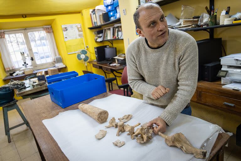El paleontólogo Martín de los Reyes analizó las características de las 32 marcas de cortes óseos e identificó un patrón que sigue una secuencia lógica de desposte del animal datado hace 21.000 años 