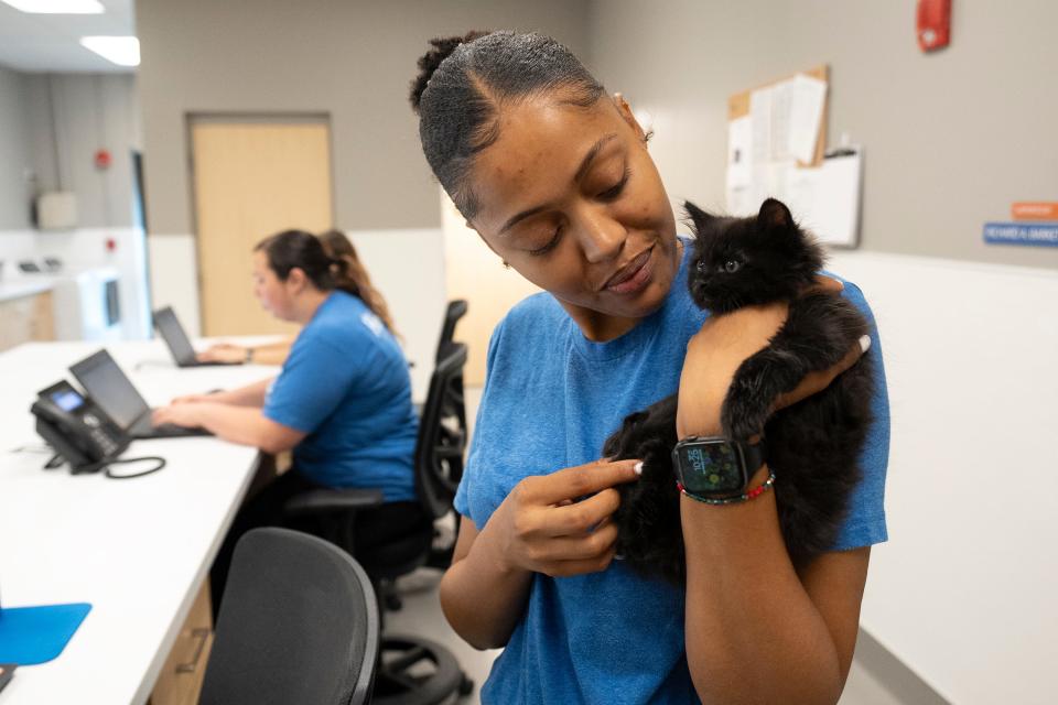 Veterinary assistant Da'Jah Davis holds a kitten Thursday near the exam rooms at the new Columbus Humane Essential Care Center.