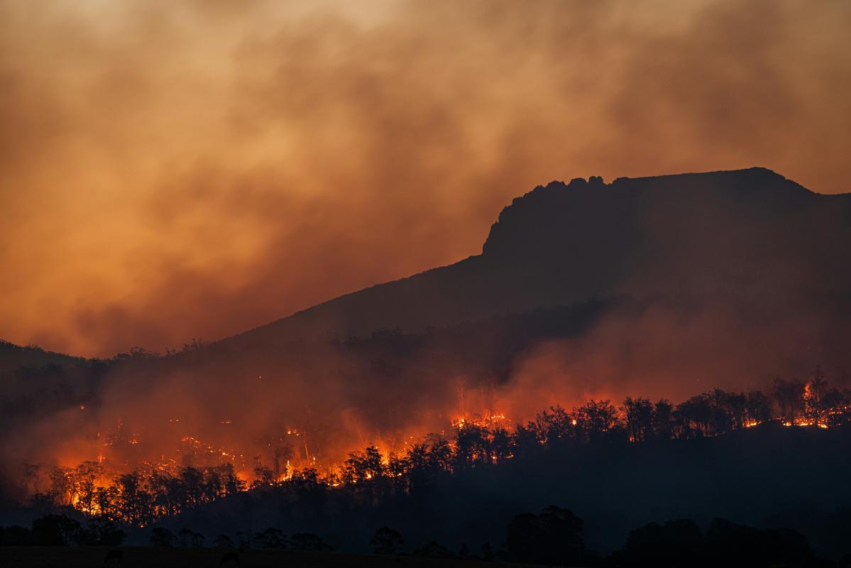 Las investigaciones indican que los planes de eliminación de dióxido de carbono no serán suficientes para cumplir los objetivos del tratado de París