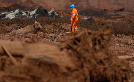 FILE PHOTO: An ox is seen on mud after a tailings dam owned by Brazilian miner Vale SA burst, in Brumadinho, Brazil January 27, 2019. REUTERS/Adriano Machado/File Photo
