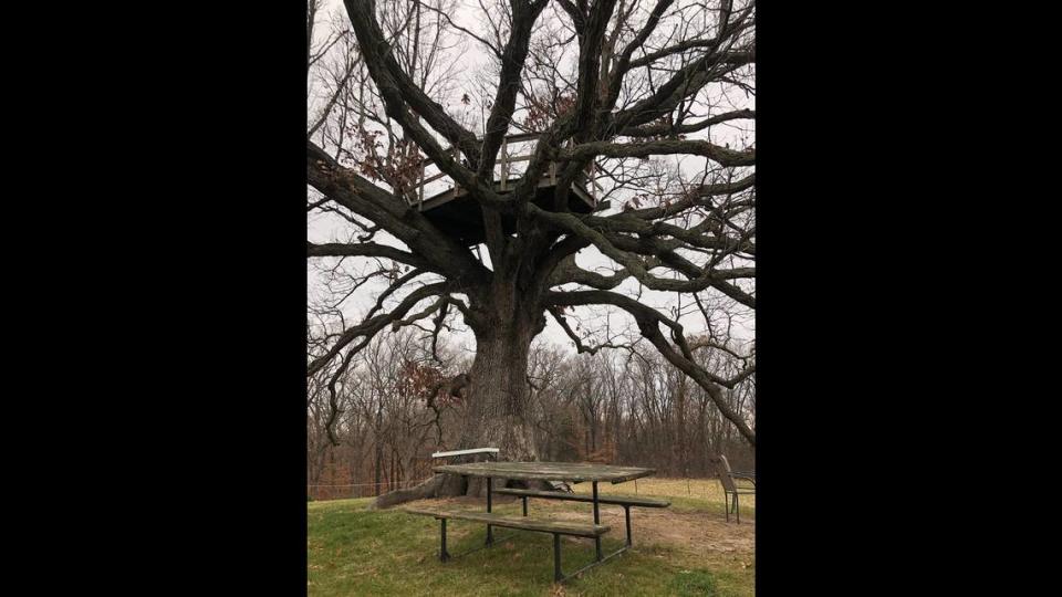 We camped in the “Big Oak Treehouse,” a privately owned spot to pitch a tent just southwest of Columbia. We ate our Baba’s Thanksgiving feast at the picnic table under the tree.