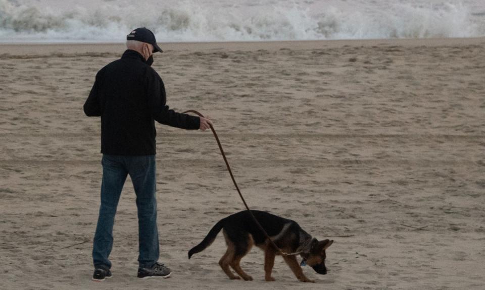 President Joe Biden walks his dog Commander on the beach in Rehoboth Beach, Delaware, December 28, 2021. A new report says the president saw his dog attack Secret Service Agents. (AFP via Getty Images)