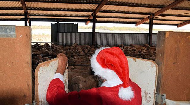 Braving the heat to keep the Christmas spirit alive. Source: Packsaddle Roadhouse.