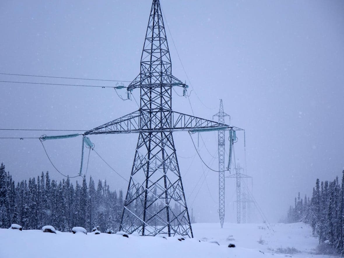 Part of the Labrador Island Link transmission network, a few kilometres east of the Muskrat Falls dam, is pictured earlier this month. (Patrick Butler/Radio-Canada - image credit)