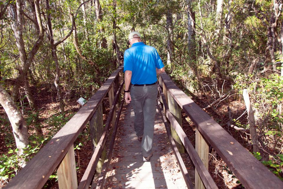 Frank Gilliam, a professor at the University of West Florida, surveys flora and fauna along the Ball Nature Trail on the campus during a tour Thursday.