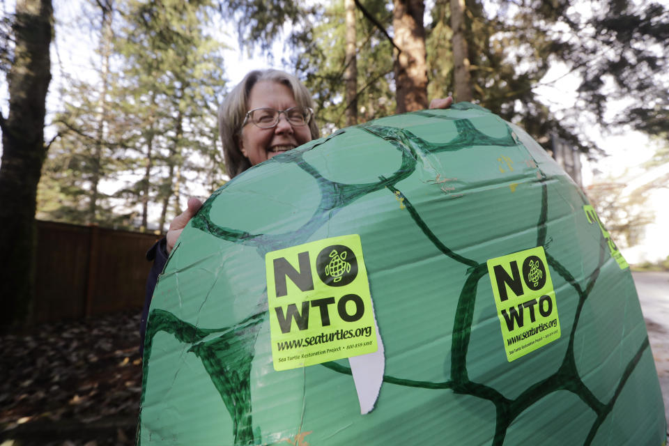 In this photo taken Monday, Nov. 25, 2019, Lisa Wathne holds an original sea turtle costume like the one she wore, made for protesters at the World Trade Organization (WTO) demonstrations in Seattle 20 years earlier, in Lake Forest Park, Wash. Wathne and other demonstrators wore the cardboard turtle shells to protest WTO policies, including one interpreted by protesters as disregarding the plight of turtles killed by shrimp nets. A wide array of issues brought tens of thousands of protesters to Seattle 20 years ago Saturday, with one unifying theme: concern that the World Trade Organization, a then-little-known body charged with regulating international trade, threatened them all. (AP Photo/Elaine Thompson)