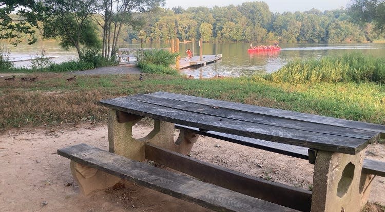 A lunchtime view never looked so good. Sunshine, water, ducks and a rowing team headed to dock.