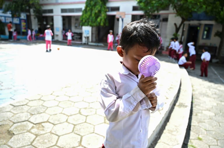 Indonesia experienced its hottest April for 40 years, according to officials (CHAIDEER MAHYUDDIN)