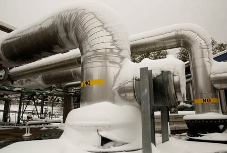 Snow covered transfer lines are seen at the Dominion Cove Point Liquefied Natural Gas terminal in Maryland