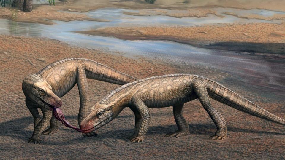 PHOTO: Artistic reconstruction of two individuals of Parvosuchus aurelioi in a Triassic landscape. (Matheus Fernandes)