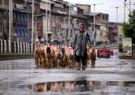 A man walks with a herd of sheep in a deserted road during restrictions after the government scrapped special status for Kashmir, in Srinagar