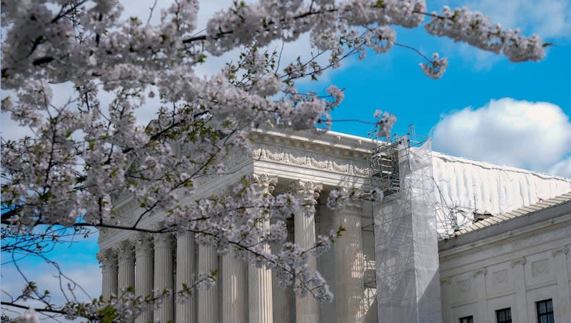 A tree blooms outside of the Supreme Court on Tuesday, March 19, 2024, in Washington.