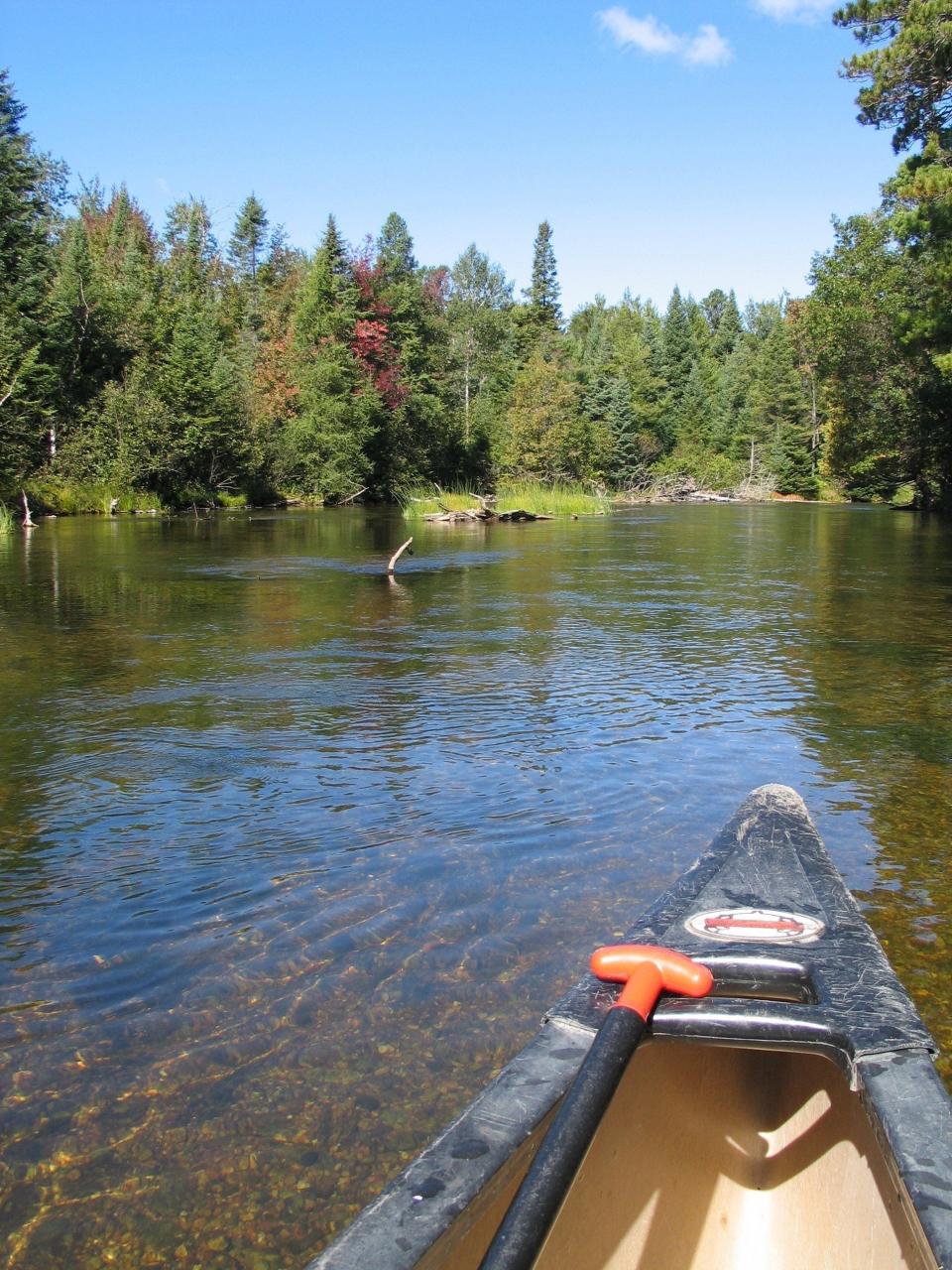 On the Au Sable River east of Grayling, your canoe may be the only one for miles on a Thursday in September.