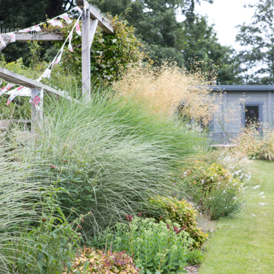 Plant some ornamental grasses