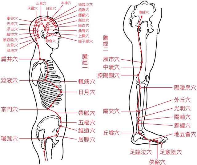 穴道示意圖