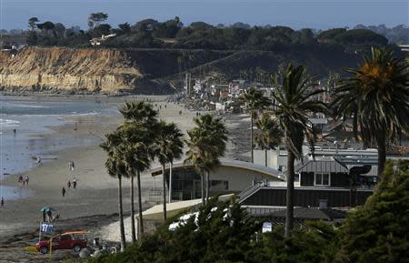 Beach homes line the shoreline in the San Diego North County town of Del Mar, California March 31, 2014. REUTERS/Mike Blake