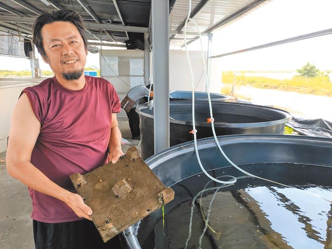 以無毒友善養殖闖出名號的台南北門漁民黃國良，對於網紅「館長」的言論相當不滿，計畫發起萬人吃台灣蝦活動，是嗆聲也是行銷。（莊曜聰攝）