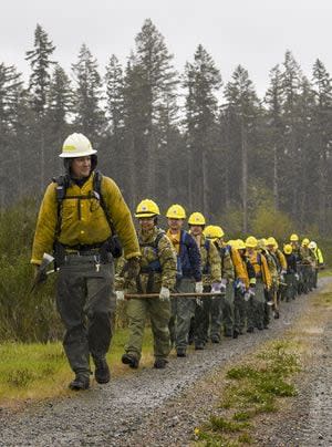 Wildfire Concerns Prompt Washington National Guard To Step Up | Birdily | Breaking News | Trending Topics