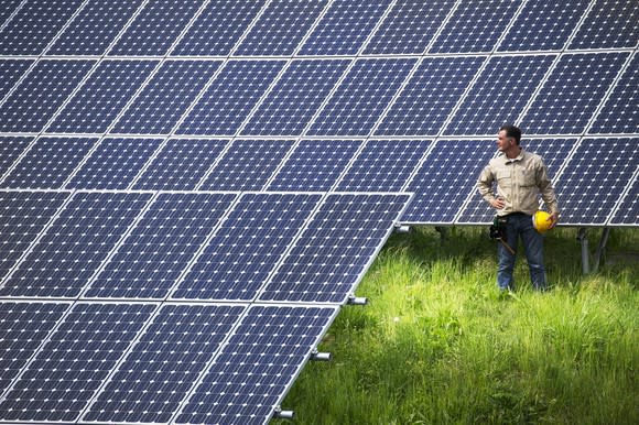 Worker at solar farm looking at solar panels while holding a yellow hard hat.