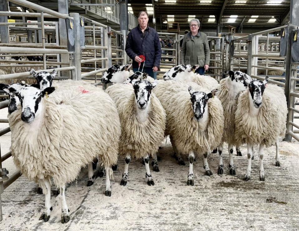Craven Herald: Chris and Christine Ryder with their 1st prize Mule geld hoggs at CCM Skipton
