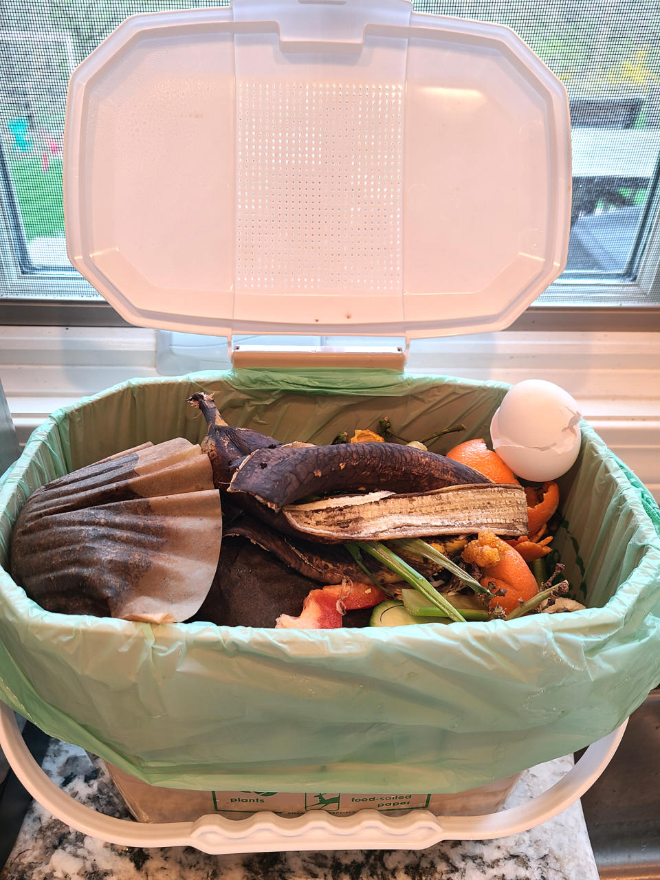 Attempting Composting