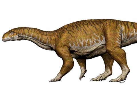 Reconstruction of Ingentia prima from the Late Triassic  - Credit: Reuters