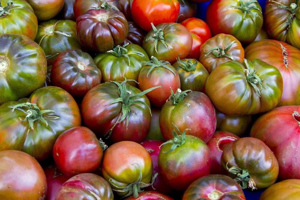 This is a great time of year to shop for fresh produce, such as tomatoes.