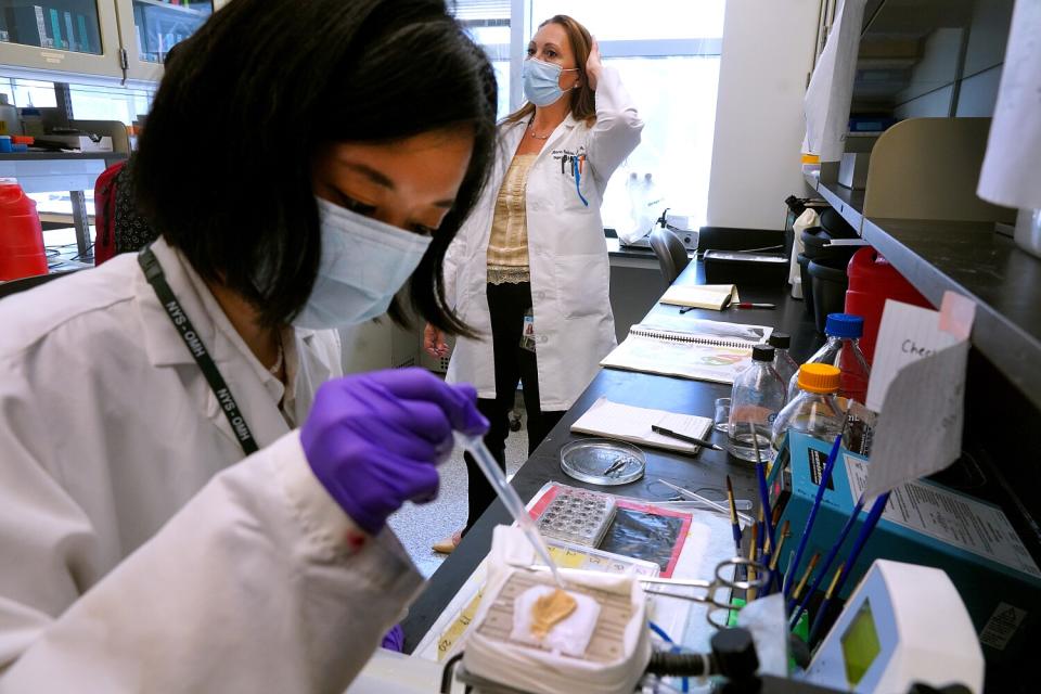 Suzuka Nitta prepares a piece of brain tissue