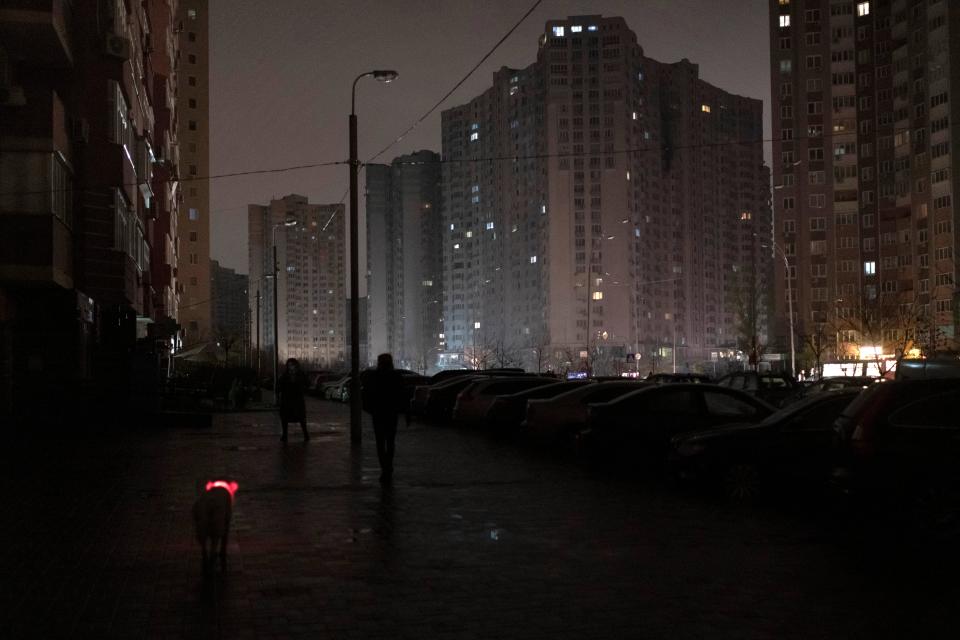 A dog with a lit up collar walks in a street during a blackout in Kyiv on Wednesday (AP Photo/Andrew Kravchenko)