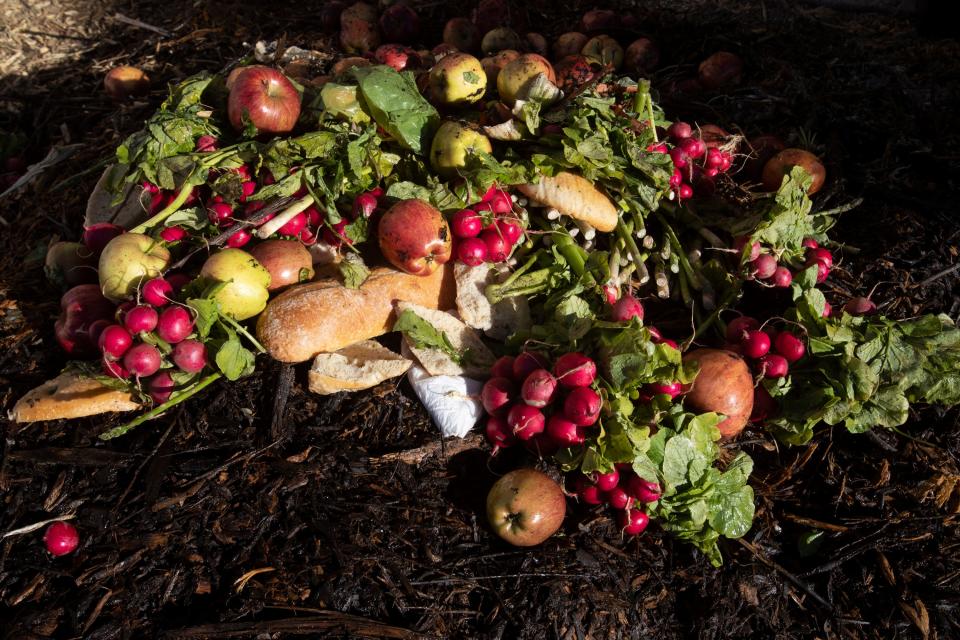 Food waste can be turned into compost, which can be used to make healthy soil for plants for farmers and gardeners.