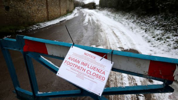 FILE PHOTO: A closed road leading to a chicken farm is seen after an outbreak of bird flu in the village of Upham in southern England February 3, 2015.  (Peter Nicholls/Reuters)