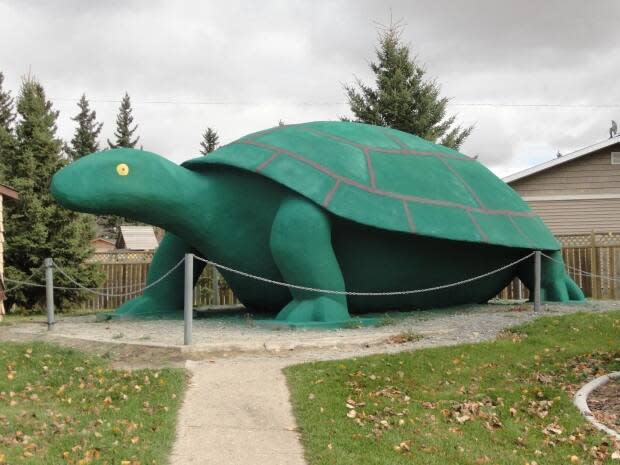 Town of Turtleford/Facebook