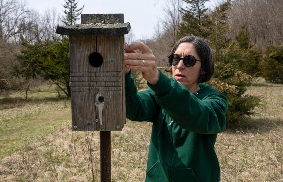 Janet Urbanski, a bluebird monitor and a Friends of Maybury Park volunteer, checks a bird box on her route to look for any nests or eggs created by the bluebirds at Maybury State Park in Northville on Wednesday, April 10, 2024. The park officials are expecting bluebird eggs by the end of April.