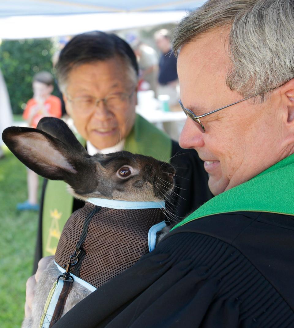 Rev. David McEntire, Senior Pastor at First United Methodist Church in Lakeland, holds a rabbit during a "Blessing of the Animals" service held on the church lawn in 2009.