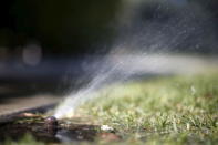 A sprinkler waters grass in Los Angeles, California, April 17, 2015. REUTERS/Lucy Nicholson