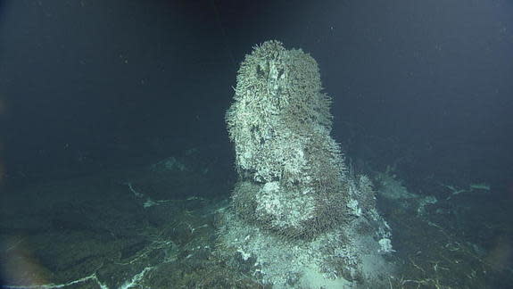 underwater volcanic vent