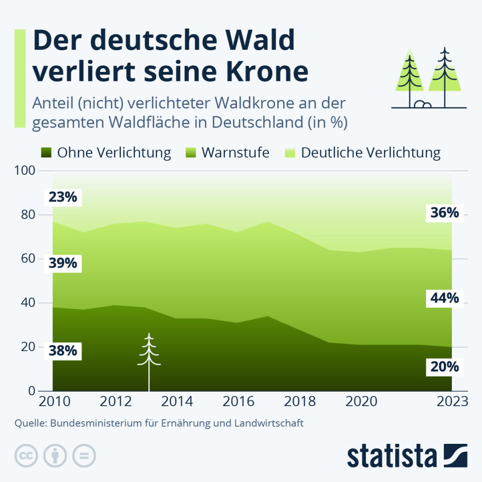 Infografik: Der deutsche Wald verliert seine Krone | Statista