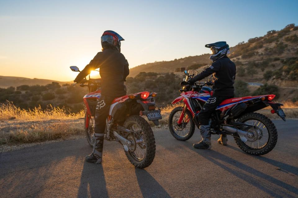 The Honda CRF300 Rally on the right, CRF300L on the left (David Williams)