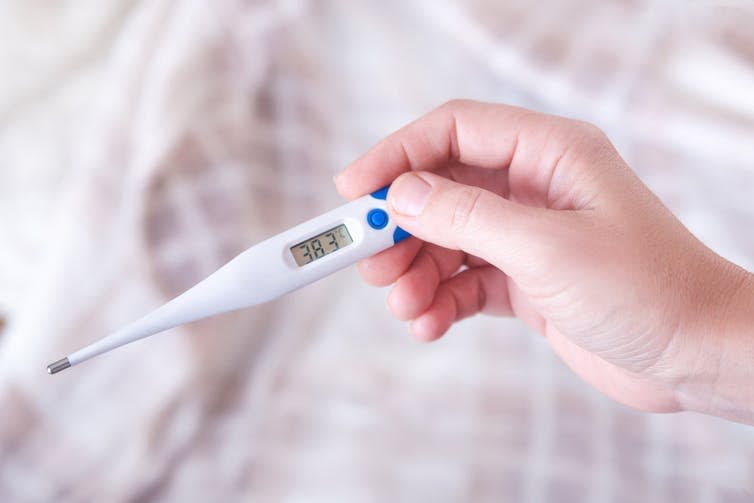 Hand holding a digital thermometer.