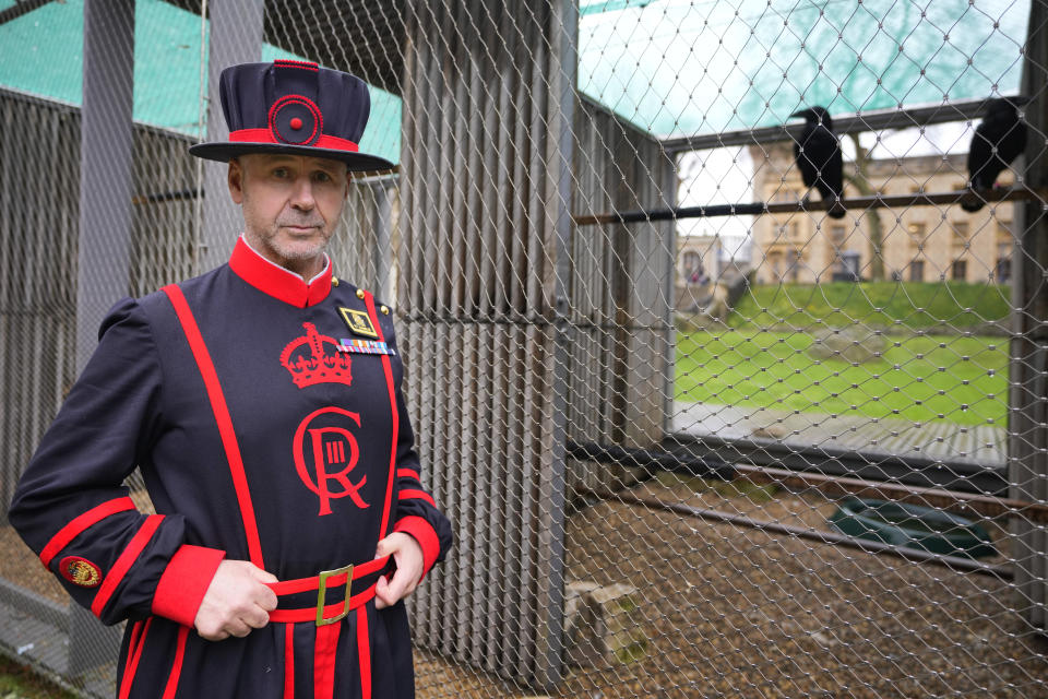 Barney Chandler, newly appointed ravenmaster stands alongside some ravens at The Tower of London in London, Thursday, Feb. 29, 2024. If legend is to be believed, Barney Chandler has just got the most important job in England. Chandler is the newly appointed ravenmaster at the Tower of London. He's responsible for looking after the feathered protectors of the 1,000-year-old fortress. (AP Photo/Kirsty Wigglesworth)