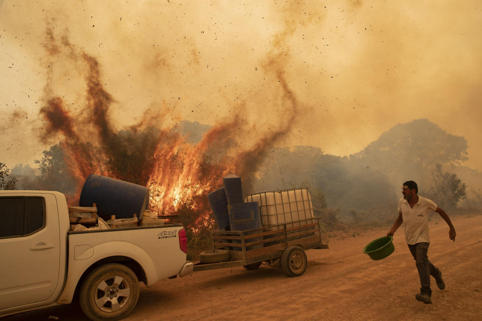 Volunteer Divino Humberto tries to douse the fire along a dirt road off the Trans-Pantanal highway, in the Pantanal wetlands near Pocone, Mato Grosso state, Brazil, Friday, Sept. 11, 2020. Pouring the water had little effect as wind redirected the fire toward a tree, causing it to explode as though it had been soaked with gasoline. (AP Photo/Andre Penner)