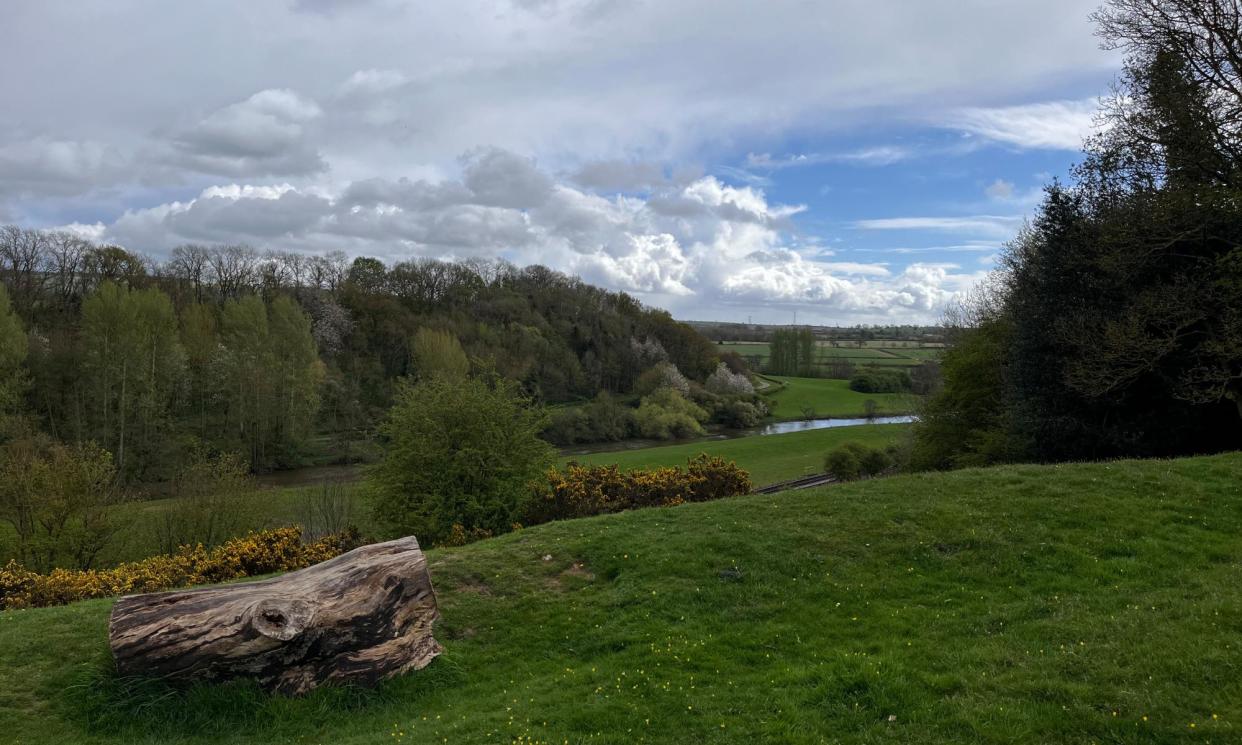 <span>A view from near Huttons Ambo, in North Yorkshire.</span><span>Photograph: Amy-Jane Beer</span>