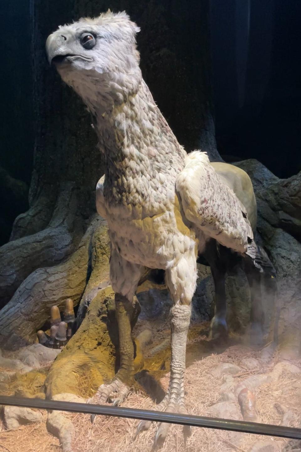 Lifelike model of a prehistoric bird-like creature with a long neck standing in a dimly lit exhibit setting