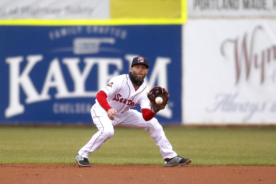 Dustin Pedroia。（Staff photo by Ben McCanna/Portland Portland Press Herald via Getty Images）