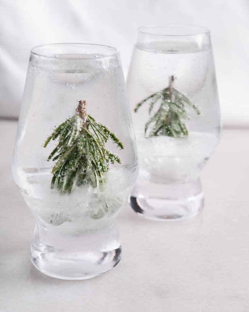 Rosemary springs frozen in cocktail glasses.