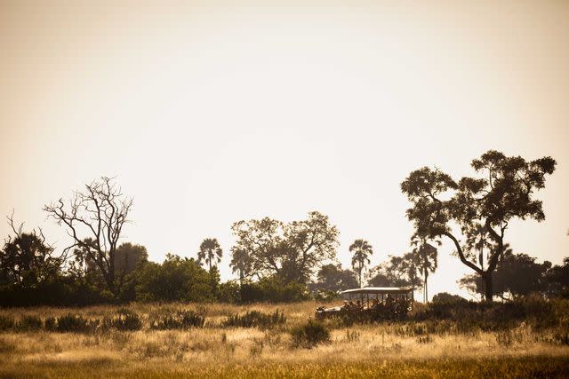 <p>Crookes&Jackson</p> One of andBeyond’s vehicles trails a pack of African wild dogs in the Okavango Delta.