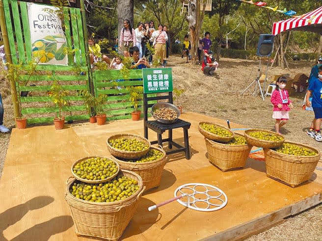 寶山鄉盛產橄欖，並開發多種加工產品，鄉公所17日舉辦「寶山鄉橄欖季輕親油田－橄欖流星雨」活動，吸引不少民眾參與。（莊旻靜攝）