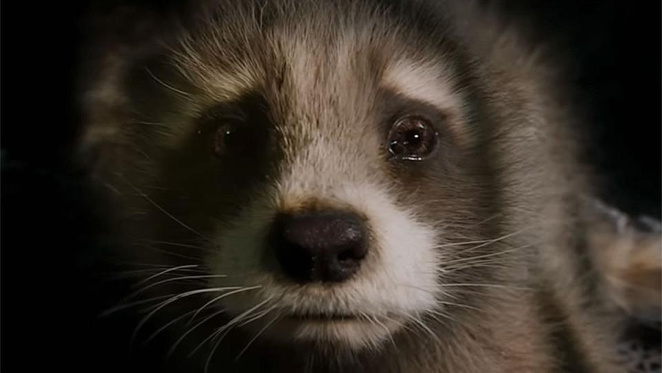 Baby Rocket from Guardians of the Galaxy Vol. 3