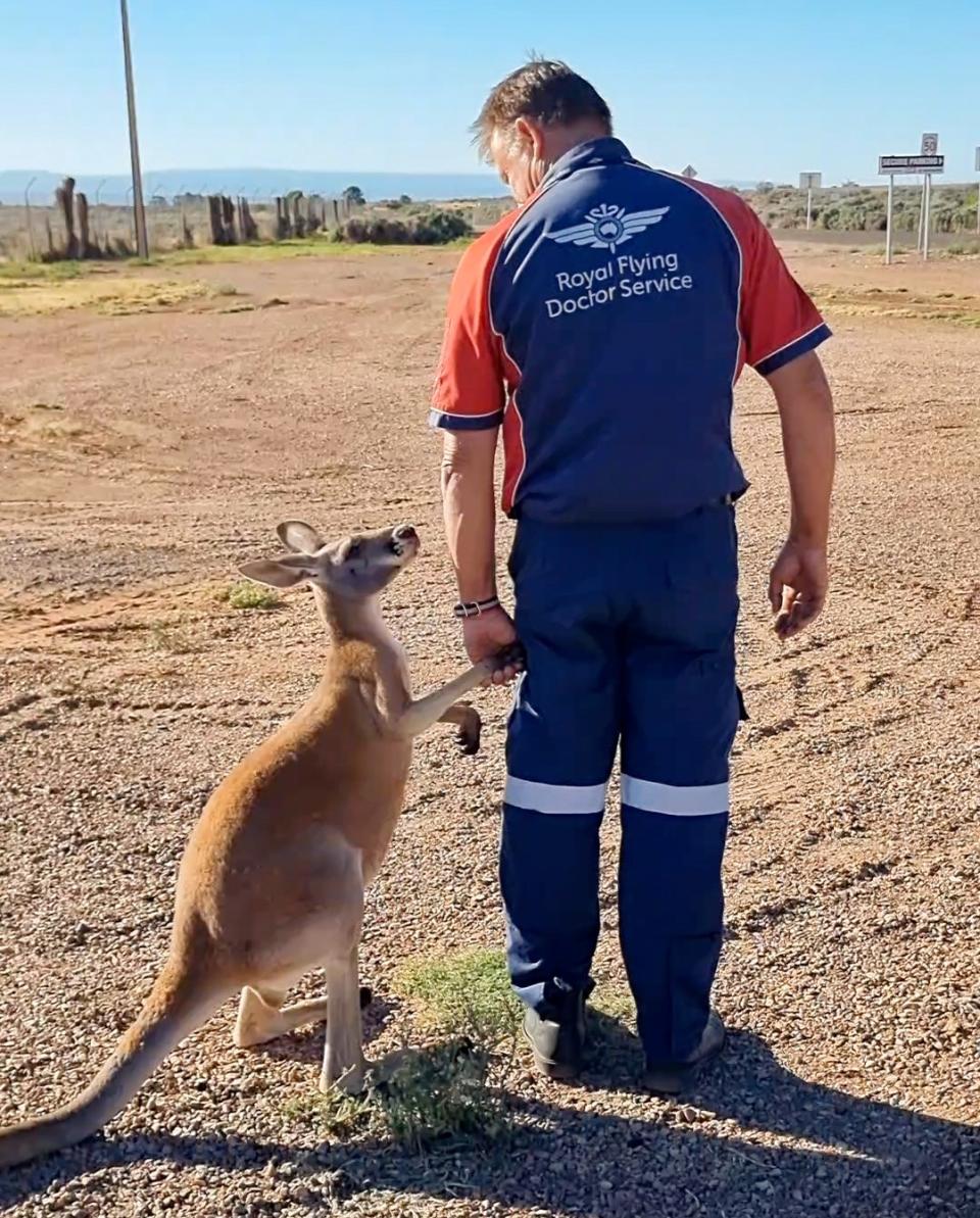 Pilot pictured in the outback holding the paw of the kangaroo.